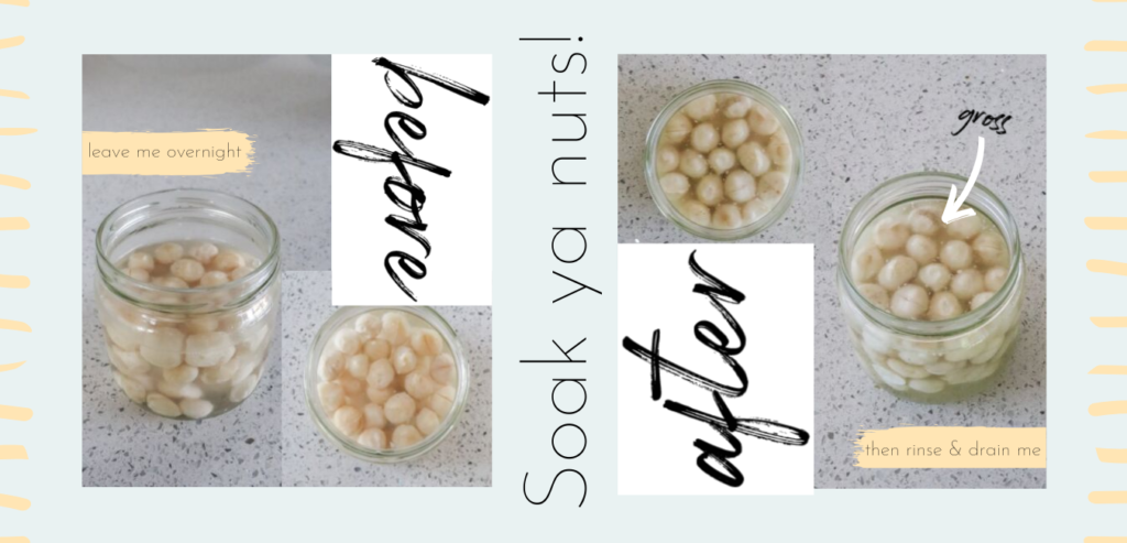 lectins in foods