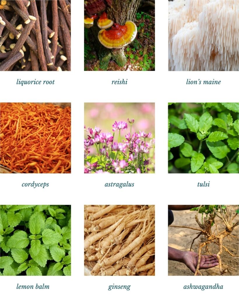 adaptogen supplements