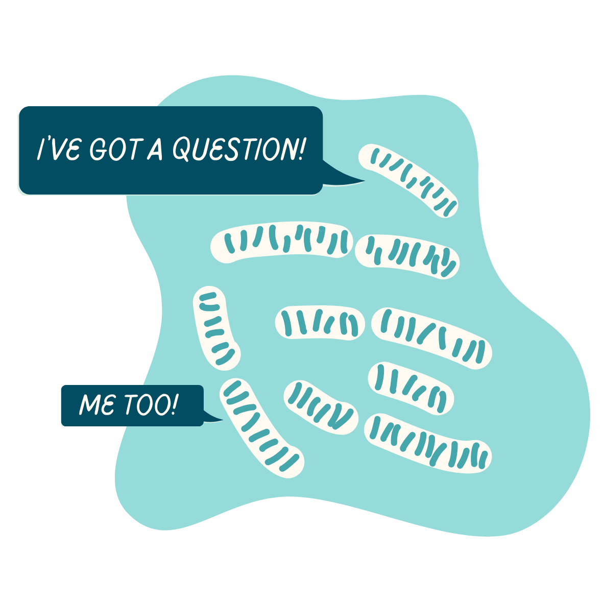 nutritional therapy frquently asked questions