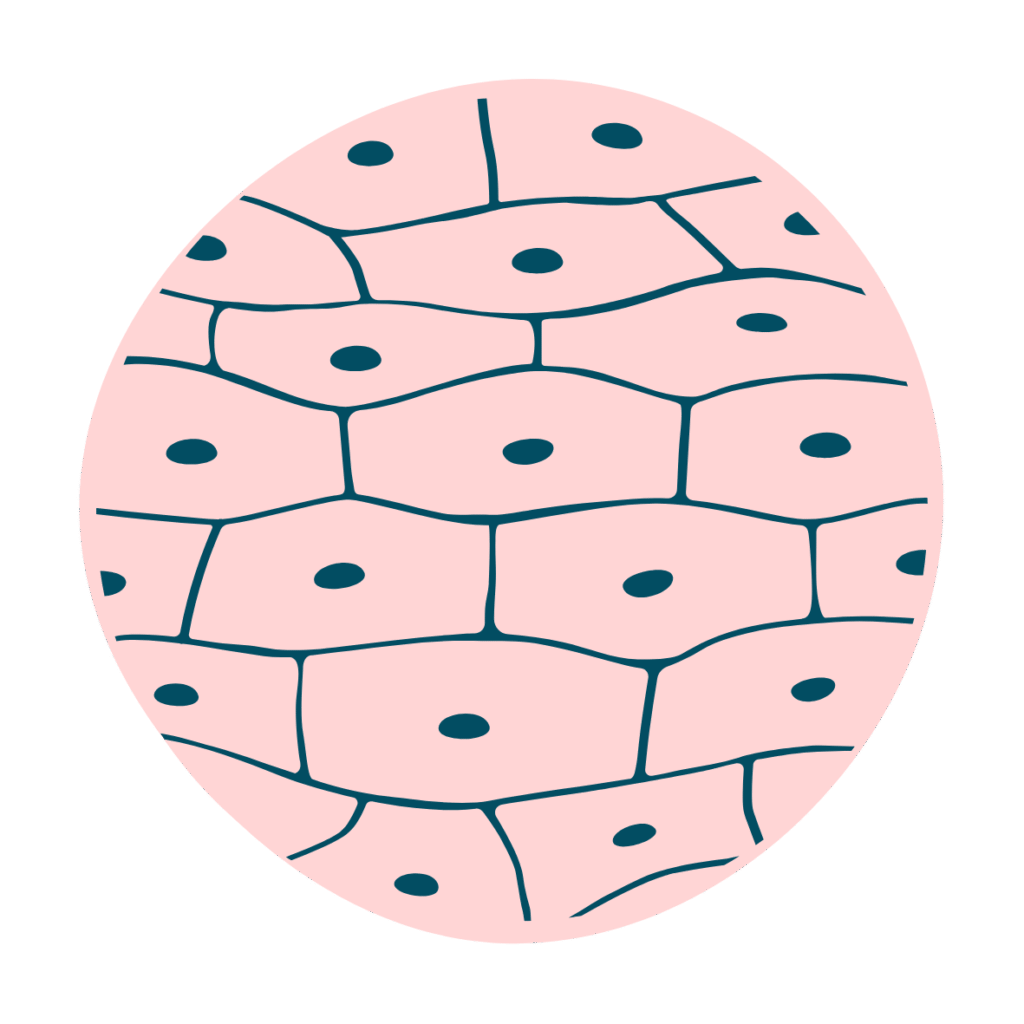 Acne and ezcema nutritional therapist UK
