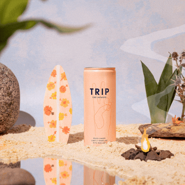 Content creation for wellness brands