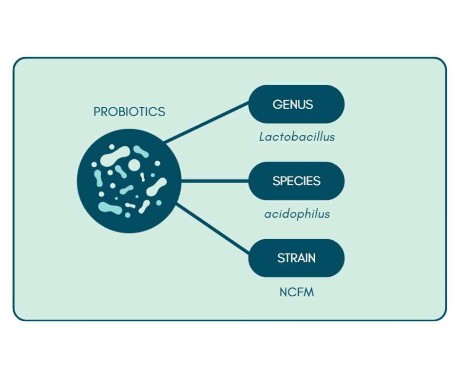 what are probiotic and probiotic benefits