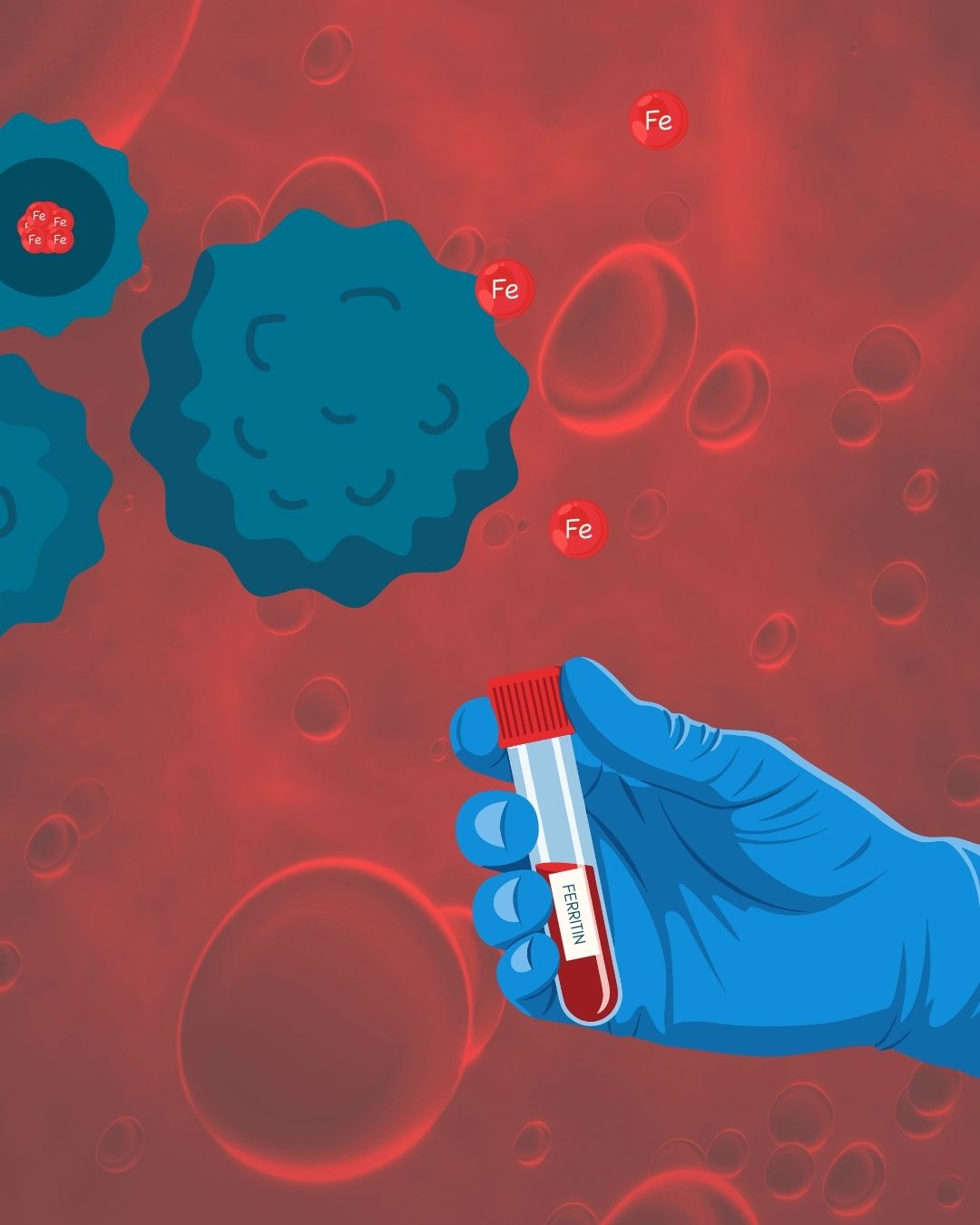 Understanding Ferritin: what it is, low and high ferritin levels