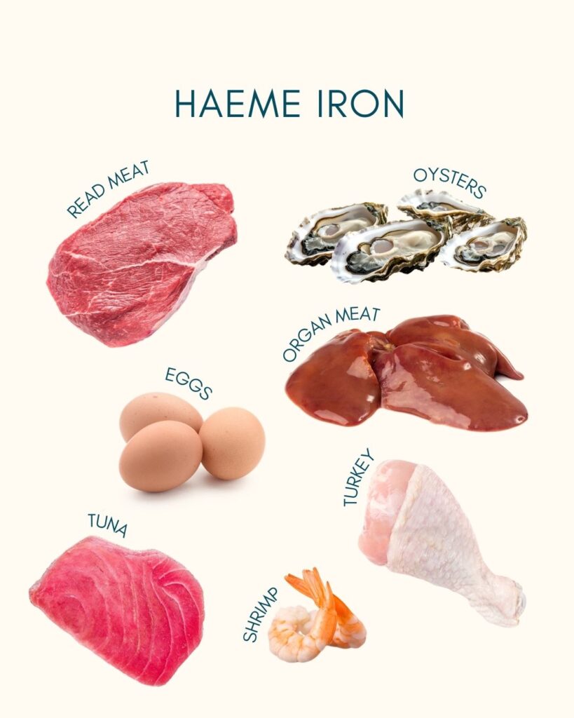 sources of haeme iron