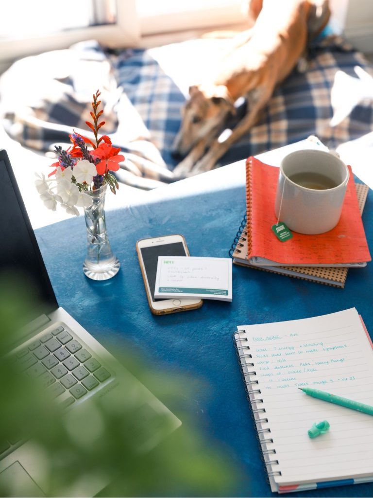 image of a desk of a nutritional therapist with a lurcher in the background. Nutritional therapist winchester food audit