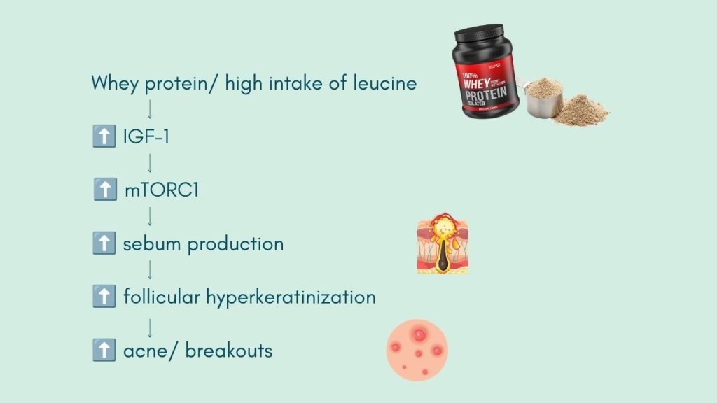whey protein powder and acne